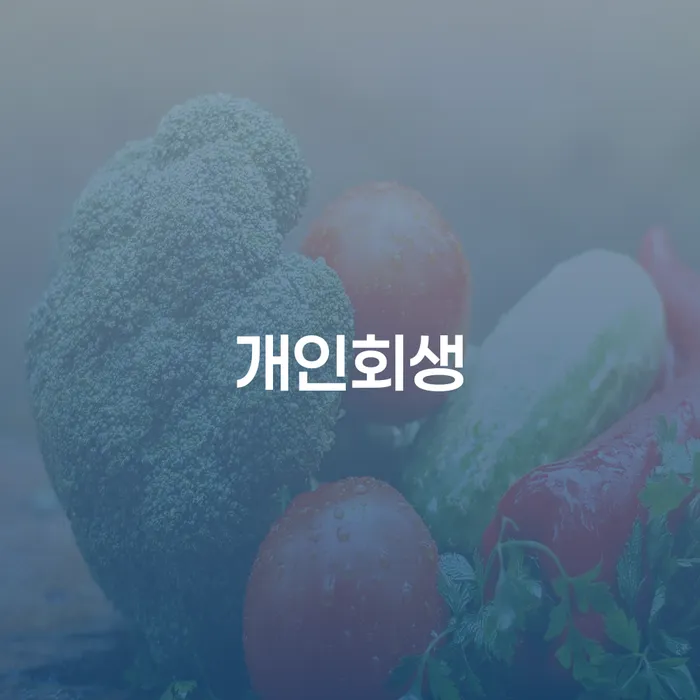 개인회생자격 대출 받은 돈채무조정 노하우