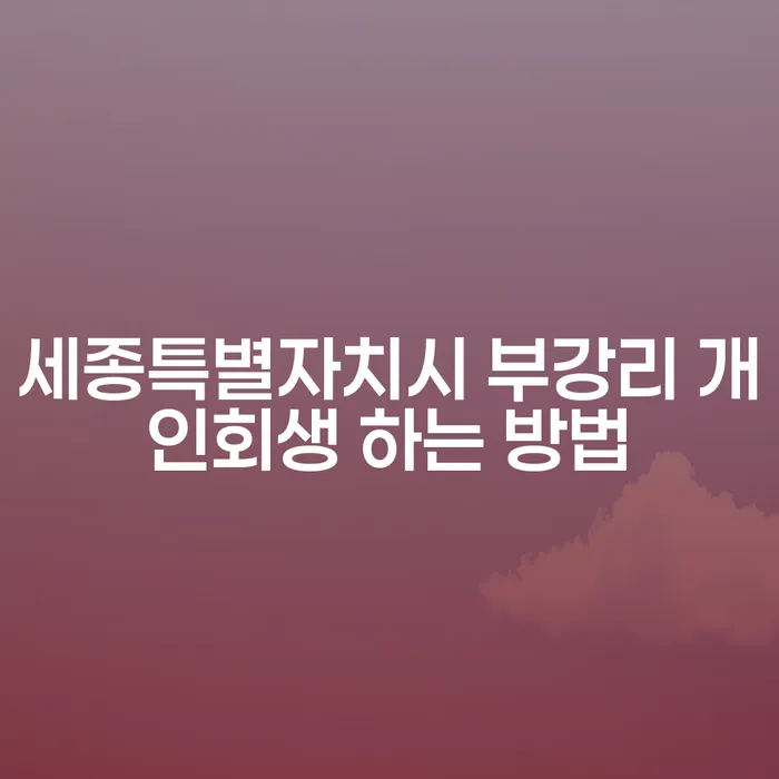 세종특별자치시 부강리에서 개인회생을 어떻게 시작해야 할까요?